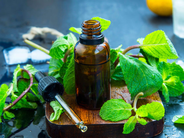 Peppermint Oil | Guide To Essential Oils | Andrew Weil, M.D