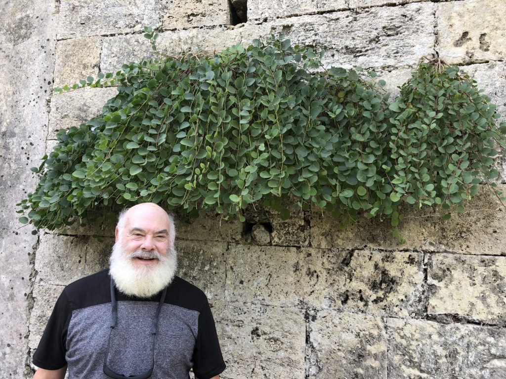 25 AW caper plant stone wall syracuse siscily_20181012_4195