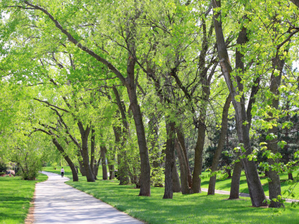 Green Spaces Does Your Heart Good | Weekly Bulletins | Andrew Weil M.D.