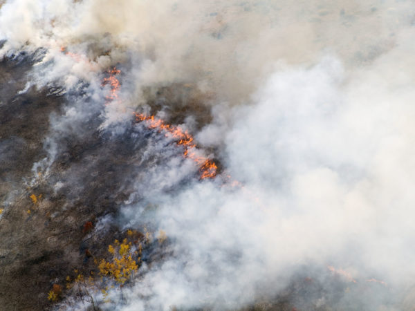 Surviving Smoke Damage? | Andrew Weil M.