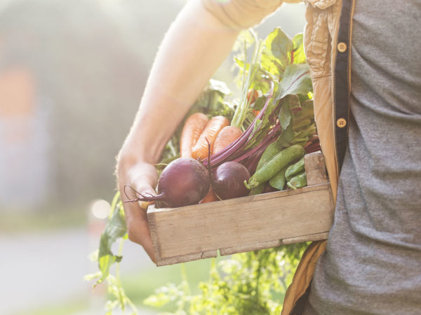 What’s The Planetary Diet? | Diets & Weight Loss | Andrew Weil, M.D.
