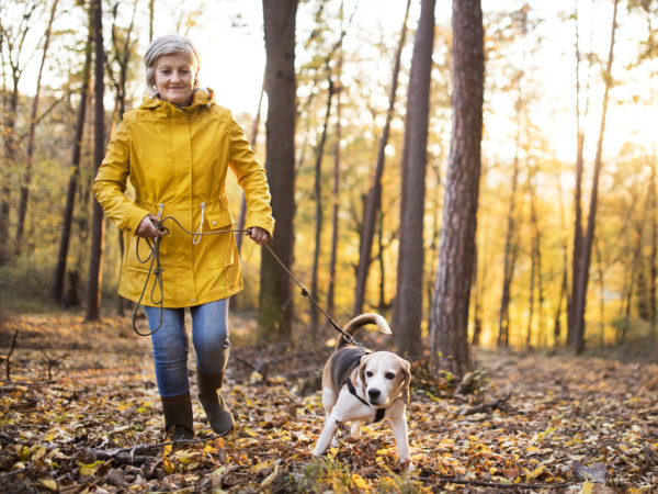 Downside Of Dog Walking | Weekly Bulletins | Andrew Weil, M.D.