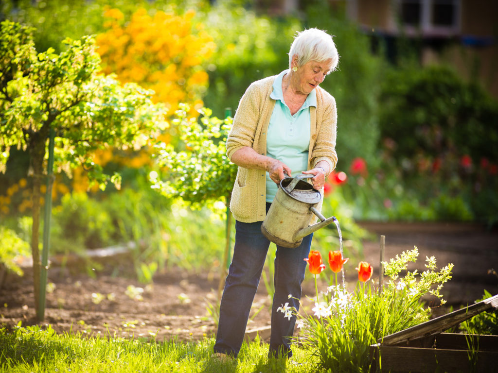 Light Exercise & Women’s Hearts | Weekly Bulletins | Andrew Weil, M.D.
