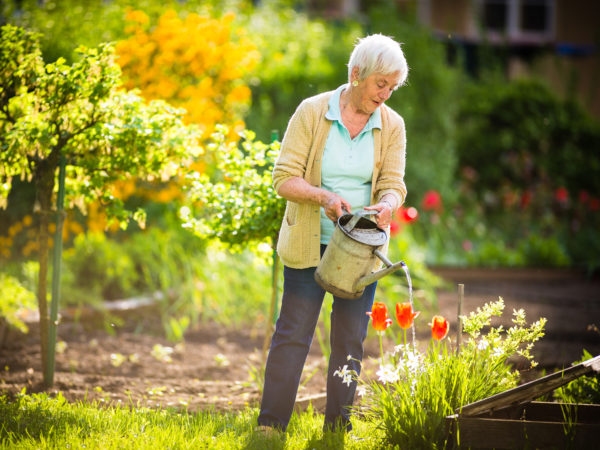 Light Exercise &amp; Women’s Hearts | Weekly Bulletins | Andrew Weil, M.D.