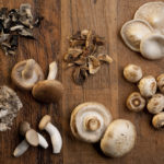 Mushrooms For Memory |Weekly Bulletins | Andrew Weil, M.D.
