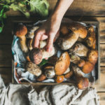 Reheating Mushrooms? | Food Safety | Andrew Weil, M.D.