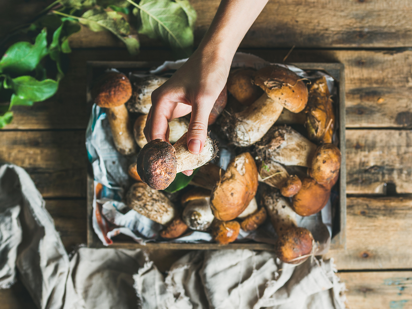Reheating Mushrooms? | Food Safety | Andrew Weil, M.D.