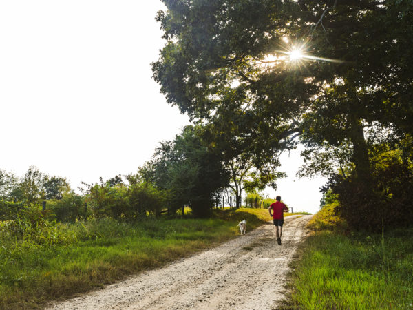 A Little Exercise &amp; Your Brain | Weekly Bulletins | Andrew Weil, M.D.