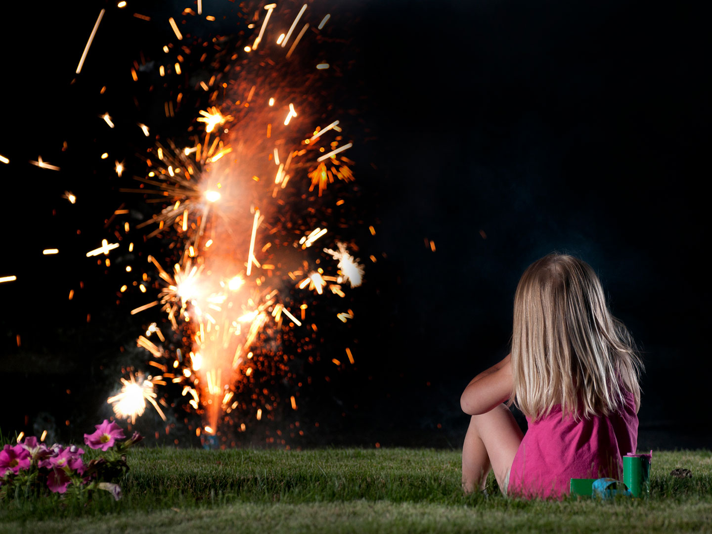 amateur consumer fireworks display