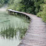 Inviting Freshness Through Not Knowing | Zen Path | Andrew Weil, M.D.