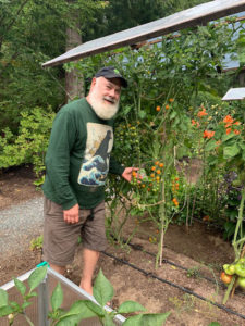 Tomatoes In The British Columbia Garden | Andrew Weil, M.D.