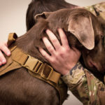 Emotional Support Pets | Pets &amp; Pet Care | Andrew Weil, M.D.