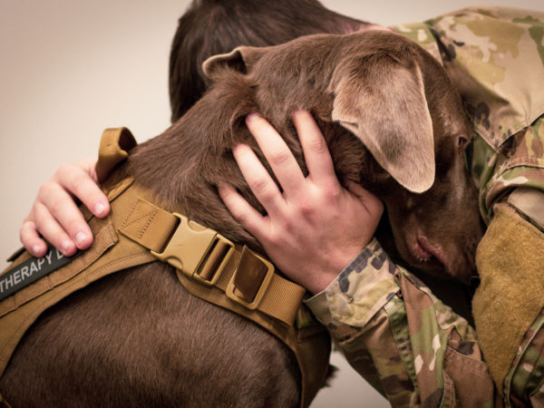 Emotional Support Pets | Pets &amp; Pet Care | Andrew Weil, M.D.
