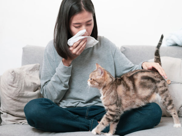 Allergic To Cats? | Weekly Bulletins | Andrew Weil, M.D.