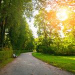 Trees Soothe The Spirit And Benefit Health | Weekly Bulletins | Andrew Weil, M.D.