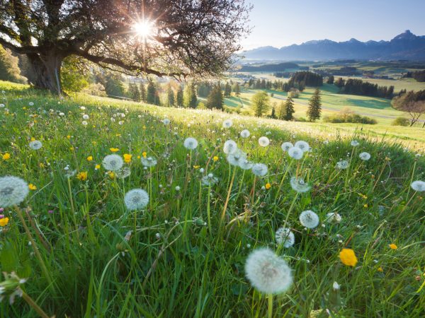 Legacy Of Silence & Moral Injury | Spontaneous Happiness | Andrew Weil, M.D.