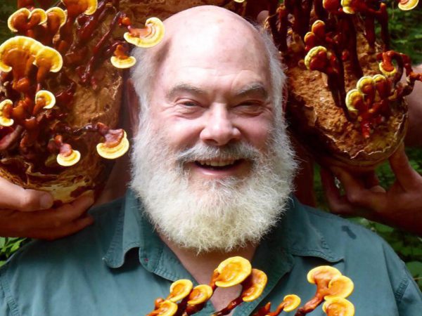 Fungi: A Dr. Weil Favorite | Healthy Living | Andrew Weil, M.D.