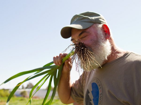 Gardening For The Body &amp; Soul | Andrew Weil, M.D.