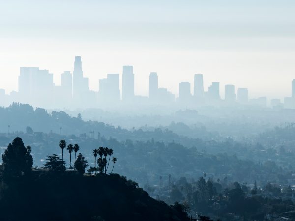 Air Pollution May Lead To Obesity |Weekly Bulletins | Andrew Weil, M.D.