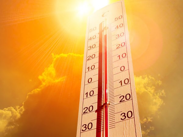 Hot Weather And Mental Health | Weekly Bulletins | Andrew Weil, M.D.