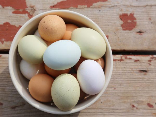 Too Many Eggs? | Nutrition | Andrew Weil, M.D.