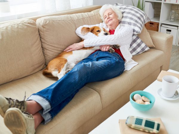 Good News About Napping | Weekly Bulletins | Andrew Weil, M.D.