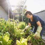 Stroke Survival: Walk, Bike, Garden | Weekly Bulletins | Andrew Weil, M.D.