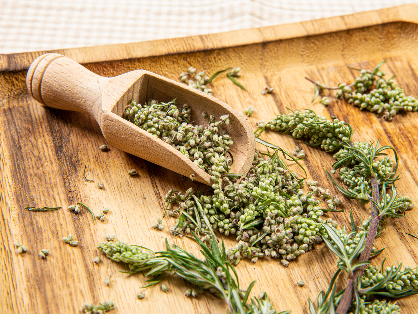 how much mugwort to start period