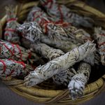 Does Burning Sage Have Any Health Benefits? | Andrew Weil, M.D.