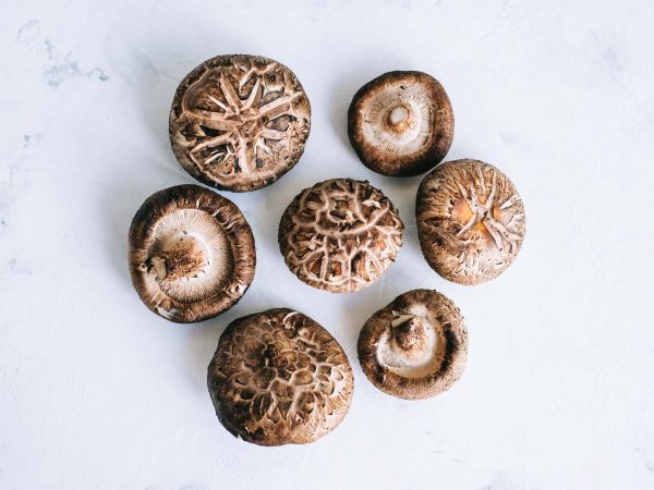 Growing Shiitake Mushrooms | Gardening | Andrew Weil, M.D.