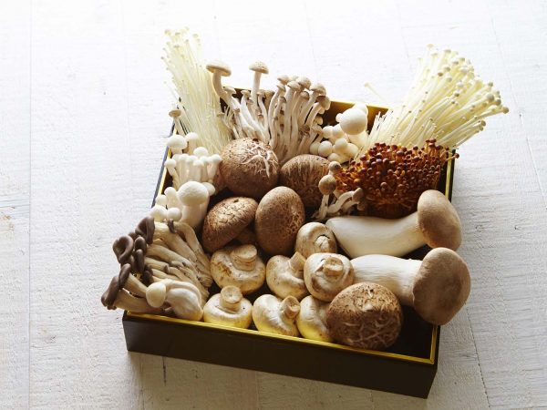 Two More Benefits Of Mushrooms? | Weekly Bulletins | Andrew Weil, M.D.
