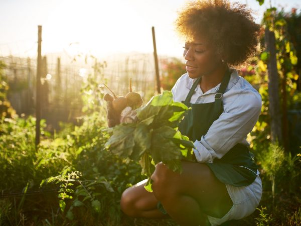 Reaping The Benefits Of Gardening | Weekly Bulletins | Andrew Weil, M.D.