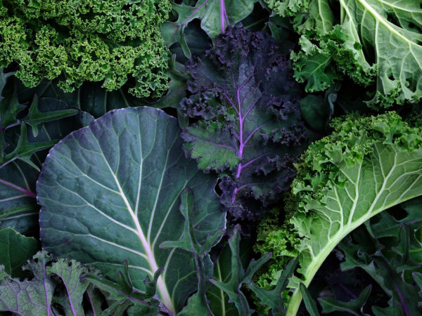 Another Reason To Eat More Greens | Bulletins | Andrew Weil, M.D.
