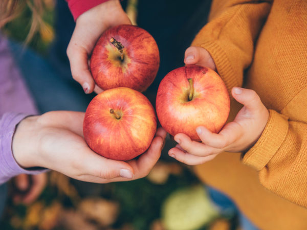 Kids Prefer Natural Over Processed Foods | Bulletins | Andrew Weil, M.D.