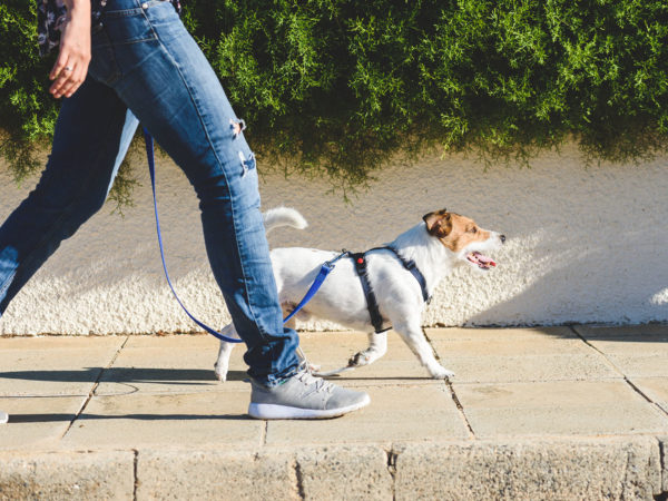 A Quick Walk Could Help Reduce Risk Of Early Death | Bulletins
