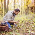Hunting For Mushrooms? | Food Safety | Andrew Weil, M.D.