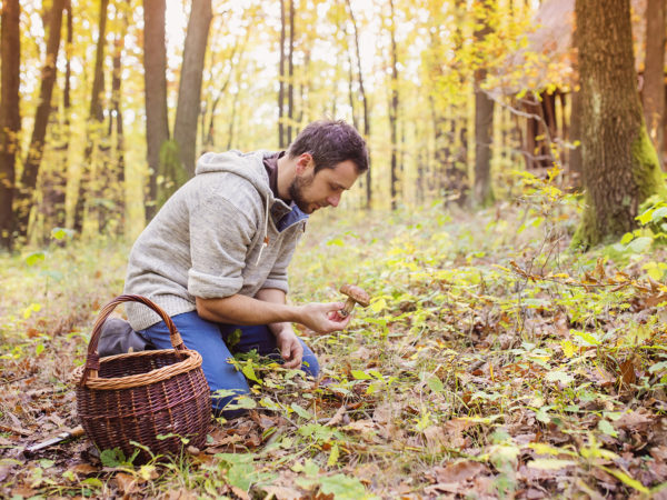 Hunting For Mushrooms? | Food Safety | Andrew Weil, M.D.