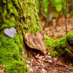 Green Funerals? | Aging Gracefully | Andrew Weil, M.D.