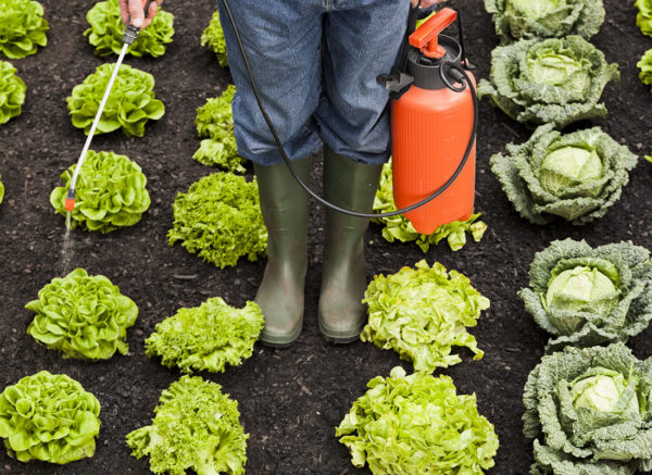 Common Pesticides Linked To Fertility Concerns | Dr. Weil