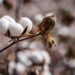 Synthetic, Semi-Synthetic, Or All-Natural Bedding: Which Is Best for You?