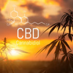 CBD is in hemp extract. Cannabidiol Formula. Concept of use in the form of gels, oils, extracts, additives and other
