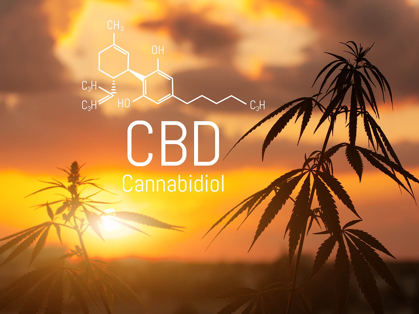 CBD is in hemp extract. Cannabidiol Formula. Concept of use in the form of gels, oils, extracts, additives and other